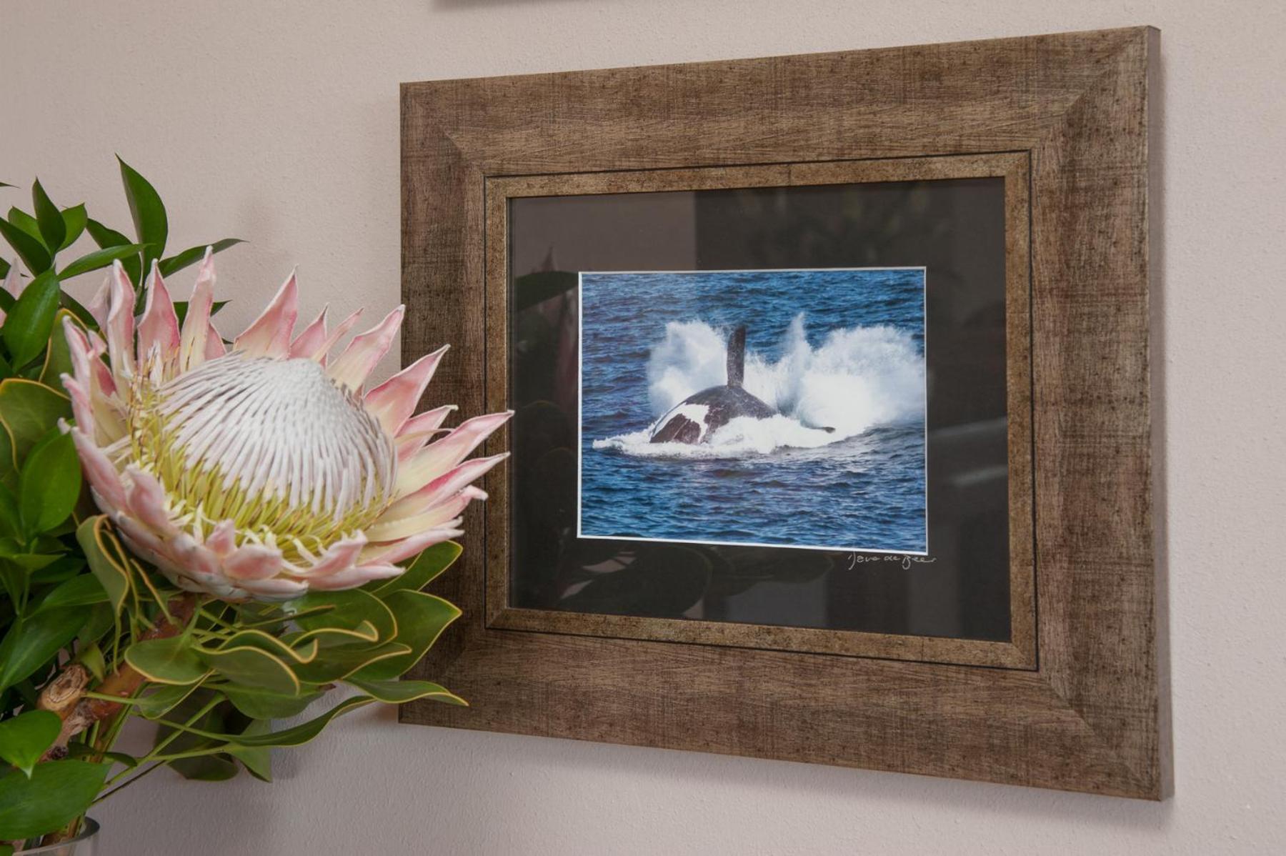 Whale Away Guest House Германус Екстер'єр фото